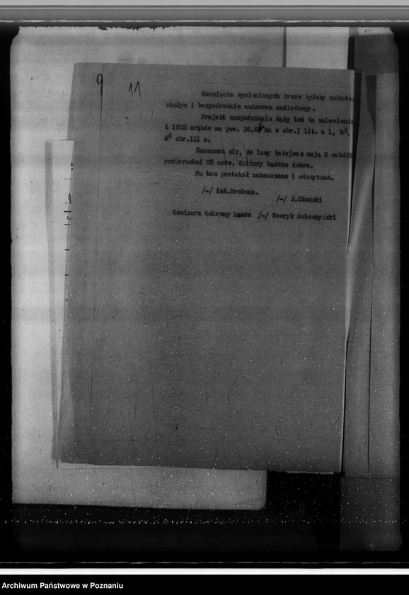 Obraz 15 z jednostki "Sprawa zatwierdzenia uzupełnienia planu gospodarstwa leśnego dla obciążonych służebnościami lasów majątku Biała-Królikowska powiatu konińskiego"