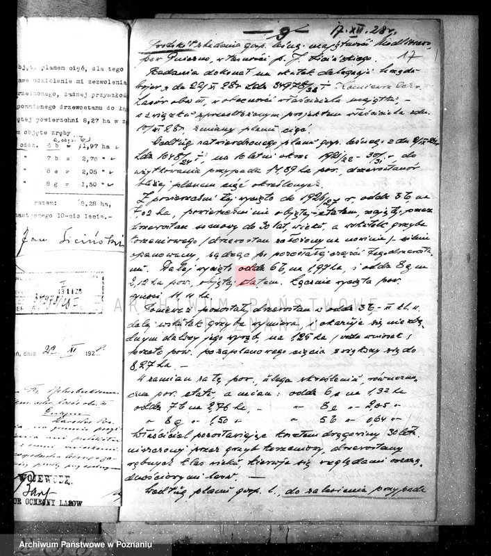 Obraz 20 z jednostki "Nadzór nad gospodarką w lasach majętności Modliszewo powiecie gnieźnieńskim"