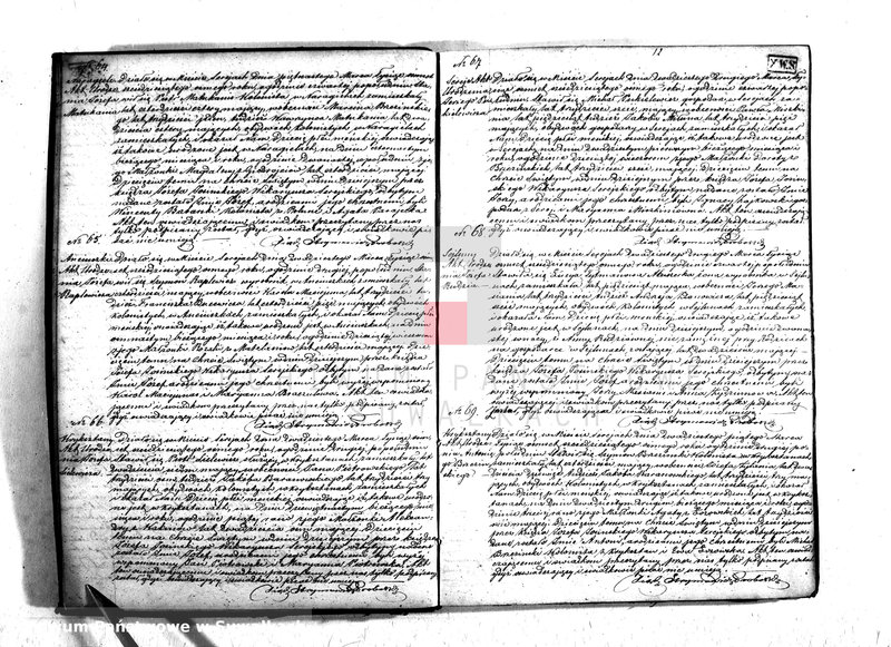 Obraz 15 z jednostki "Duplikat urodzonych, zaślubionych i zmarłych parafii Serejskiej z roku 1868"