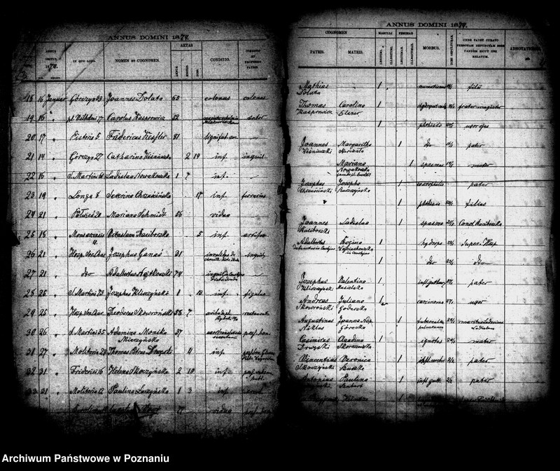 Obraz 2 z jednostki "Księga zgonów"