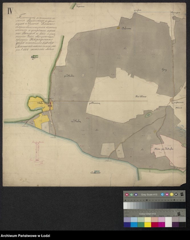 Obraz 1 z jednostki "Pierworys Pomiaru lasów Rdułtowice i Klizin ..."