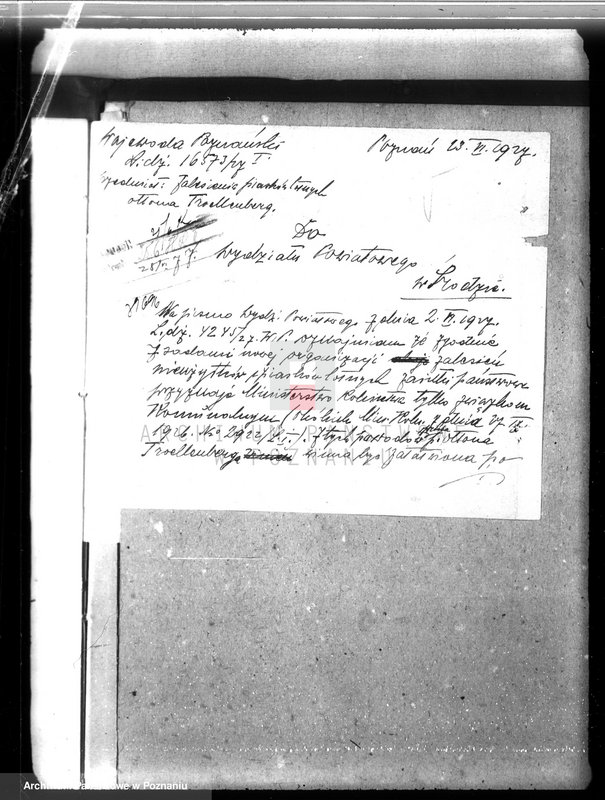 Obraz 11 z jednostki "Zalesienie nieużytków w powiecie średzkim"