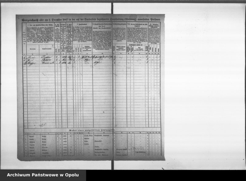 Obraz 10 z jednostki "[Okręg spisowy Nr 30. Spis ludności, 3 XII 1867]"