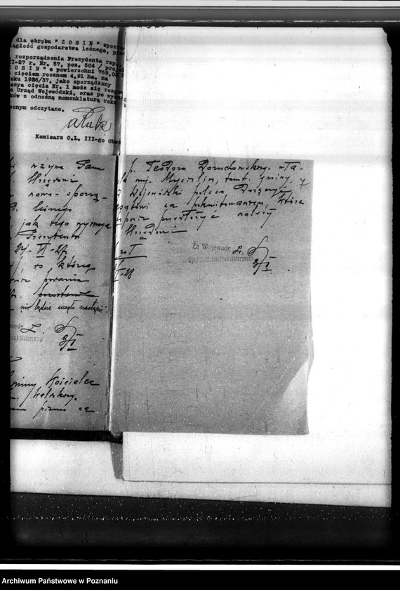 Obraz 11 z jednostki "Sprawa zmiany rodzaju użytków 0,63 ha gruntów leśnych we wsi Mycielin powiat kaliski"