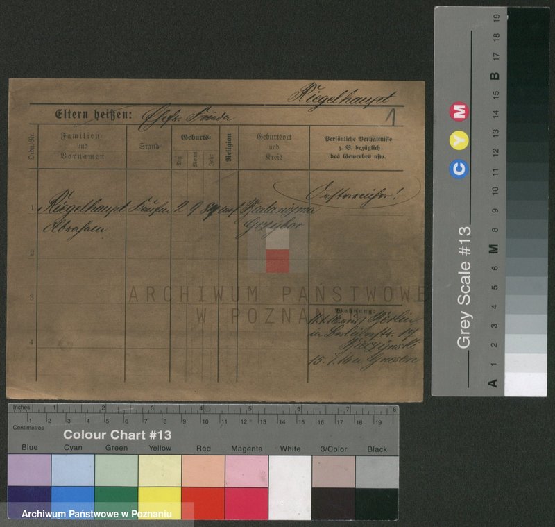 Obraz 3 z jednostki "Rigelhaupt - Rinke"