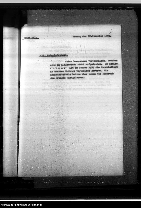 Obraz 11 z jednostki "Lageberichte des Regierungspräsidenten - Posen"