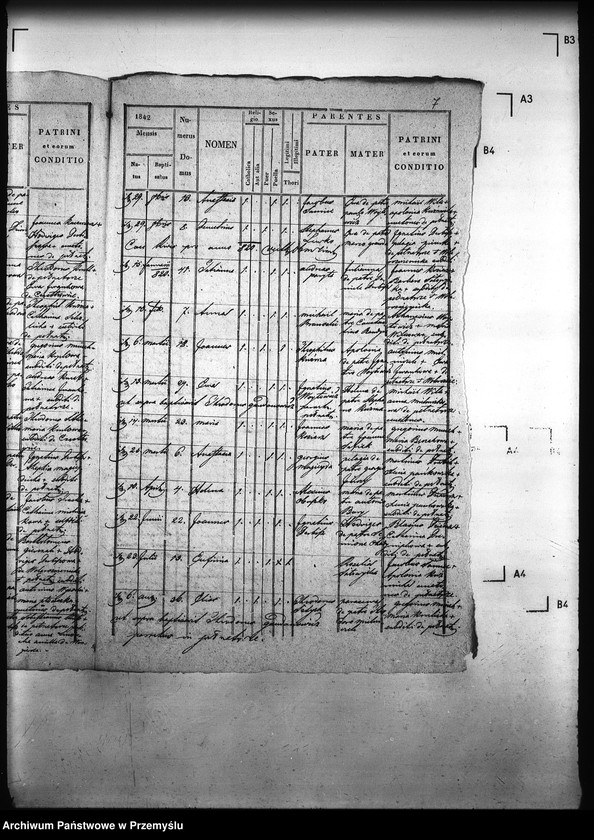 image.from.unit.number "[Kopie ksiąg metrykalnych parafii Pełniatycze z filiami Cząstkowice, Czelatyce, Roźwienica, Rożniatów, Rudołowice, Wola Roźwienicka (dekanat Pruchnik)]"