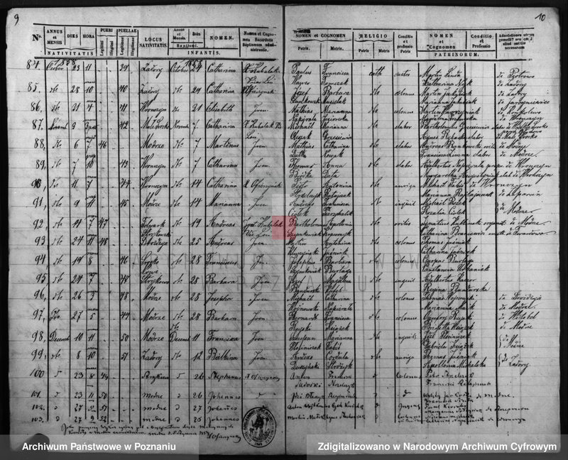 Obraz 8 z jednostki "Duplicatus baptisatorum, copulatorum, mortuorum"
