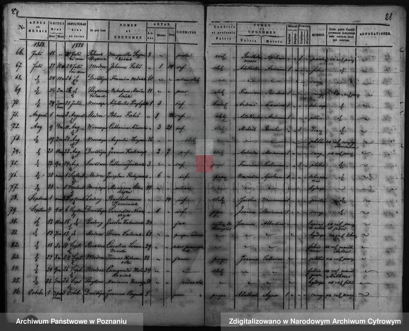 Obraz 18 z jednostki "Duplicatus baptisatorum, copulatorum, mortuorum"