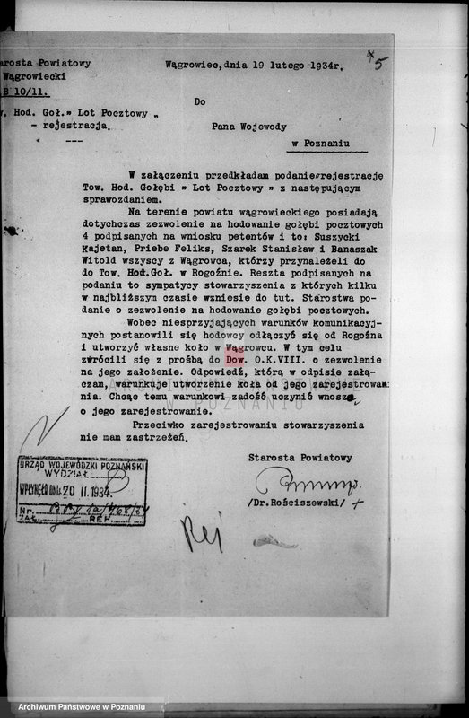 Obraz 9 z jednostki "Towarzystwo Hodowców Gołębi Pocztowych,,Lot Pocztowy" w Wągrowcu"