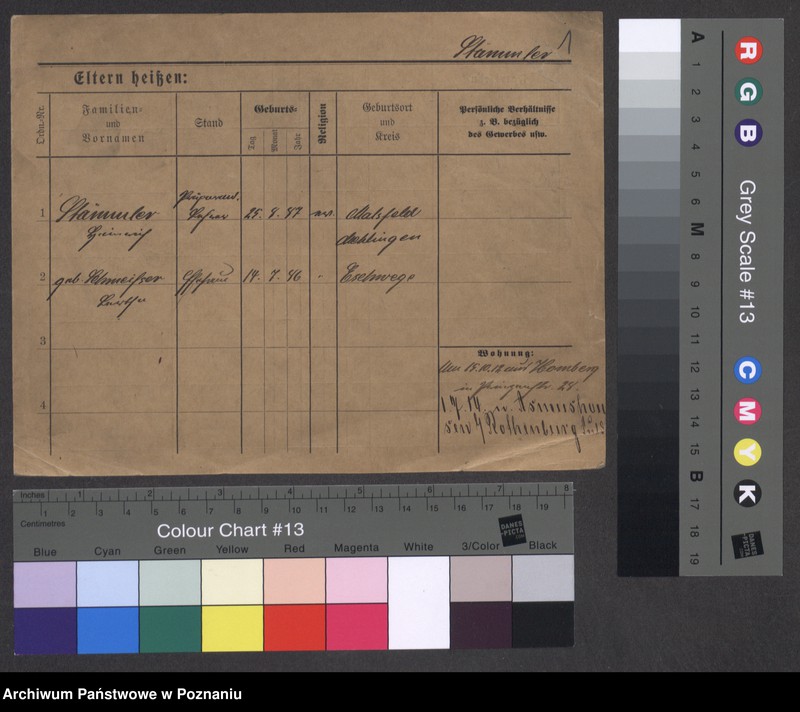 Obraz 7 z jednostki "Stemler - Steńko"