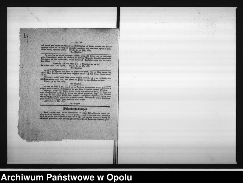 Obraz 9 z jednostki "Acta des Magistrats zu Oppeln betreffend: die Vermiethung zweier Wohnungs - Locale in dem zur Kranken Anstalt acquirirten ehemaligen Jesuiten-Collegien-Gebäude hieselbst Vol. I de Anno 1837"