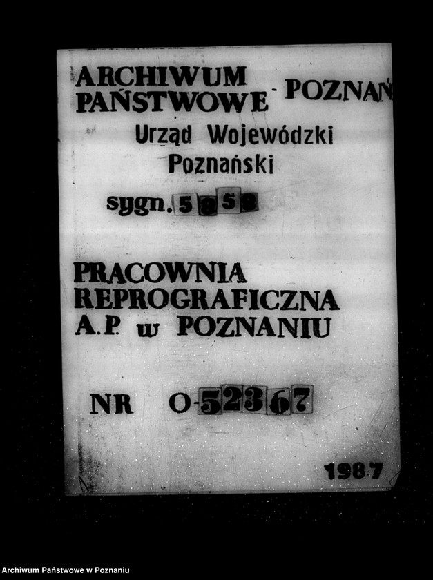 Obraz 1 z jednostki "/Zalesienie nieużytków ogólne kierownictwo akcją/"