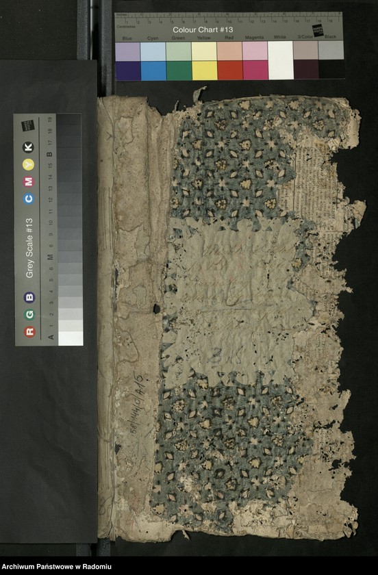 Obraz 2 z jednostki "Allegata z Roku 1825 z Parafii Kozienickiej do Akt Stanu Cywilnego Urodzenia, Zejścia i Zaślubienia"