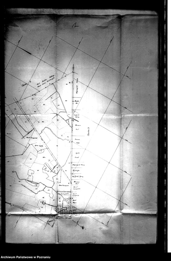 image.from.unit.number "/Plany poglądowe majętności Duszniki powiatu szamotulskiego/ Skala 1:4001"