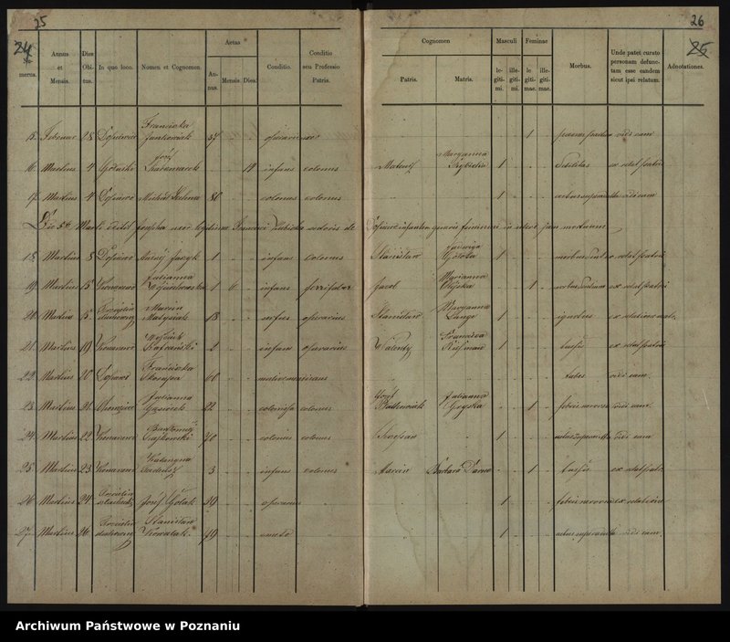 image.from.unit.number "Duplikat baptisatorum, copulatorum, mortuorum"
