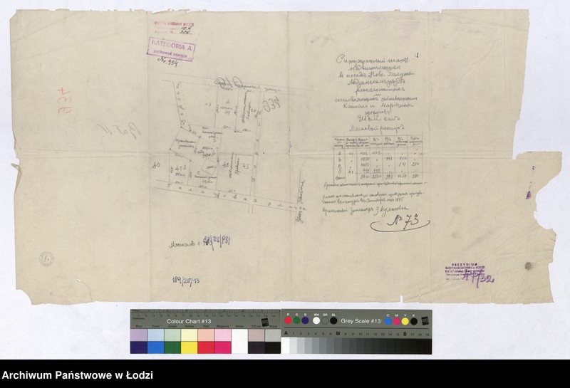 Obraz 1 z jednostki "Ситуацiонный планъ недвижимостей въ посадѣ Нове Балуты Лодзинскаго уѣзда расположенныхъ и состявляющихъ Каетана и Марiянны супруговъ Шемiашъ"
