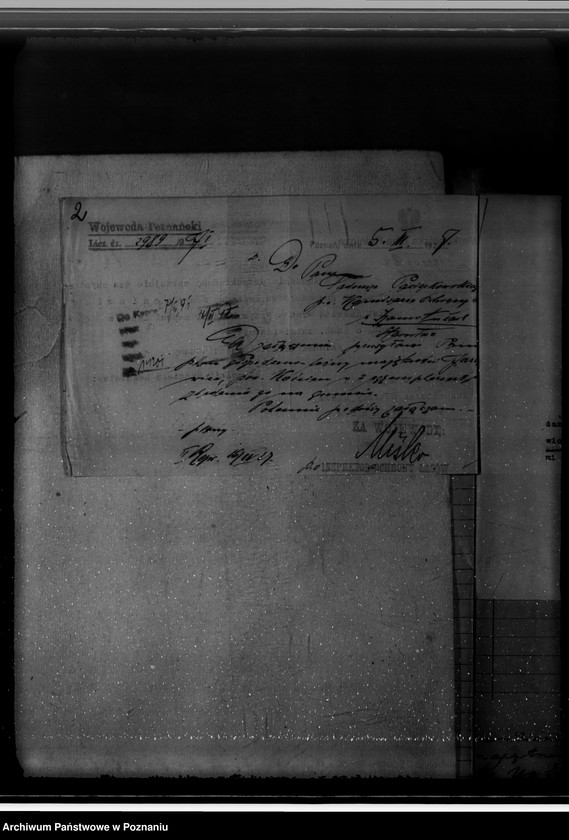 Obraz 6 z jednostki "Gospodarka w lasach majątku Jarogniewice powiat kościański"