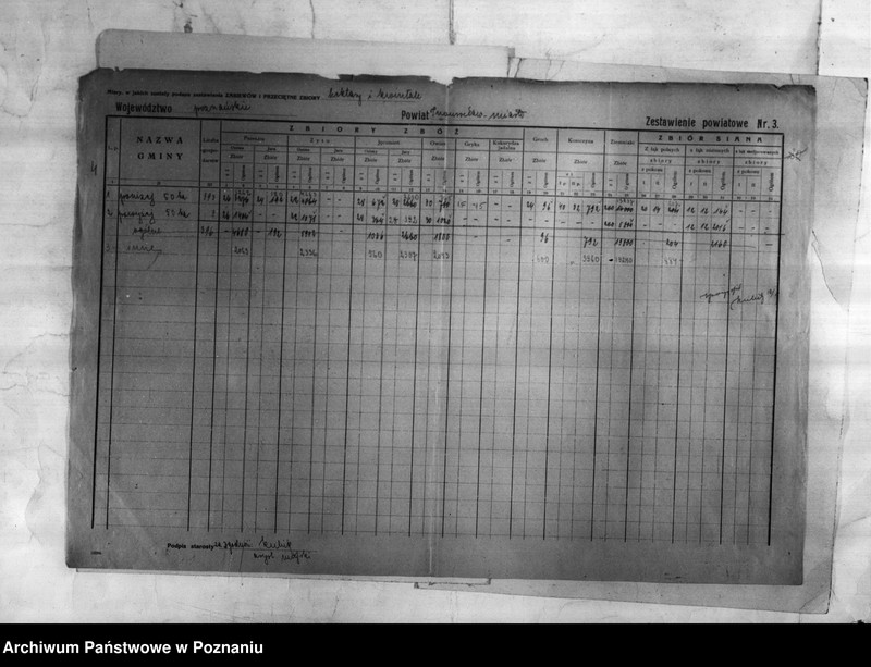 Obraz 5 z jednostki "/Statystyka produkcji rolnej - zestawienie powiatowe - Inowrocław/"