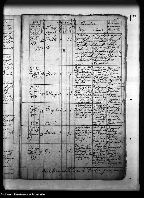 Obraz 13 z jednostki "[Kopie ksiąg metrykalnych parafii Prusiek z filią Sanoczek (dekanat Sanok)]"