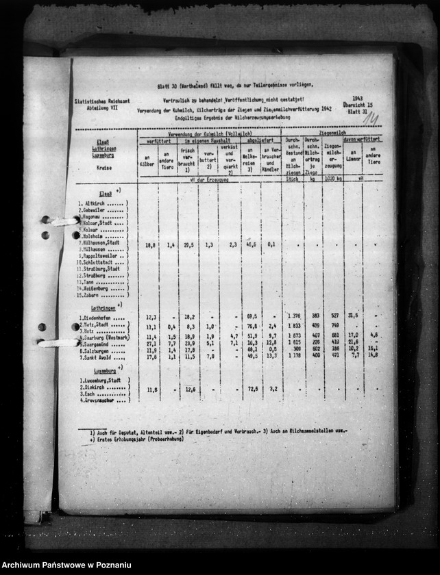 Obraz 18 z jednostki "Elsass - Lothringen"