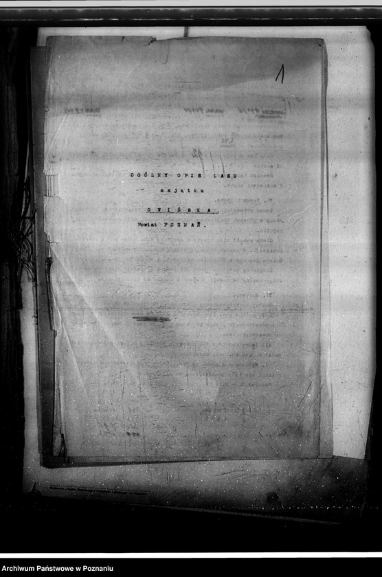 Obraz 5 z jednostki "Program urządzenia gospodarstwa leśnego lasu majętności Owińska powiat poznański"