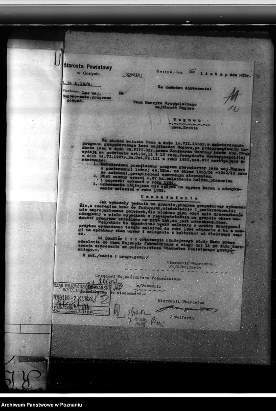 Obraz 16 z jednostki "Nadzór nad gospodarką w lasach majętności Rogowo w powiecie gostyńskim"