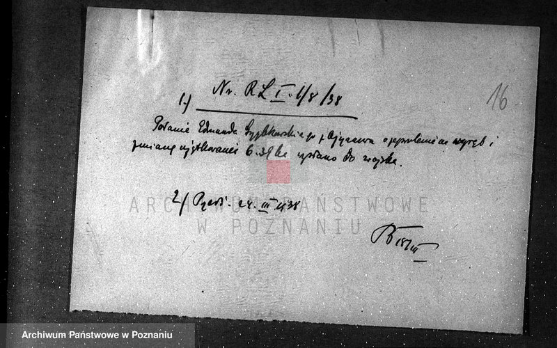 Obraz 20 z jednostki "/Zalesienie gruntów ornych/"