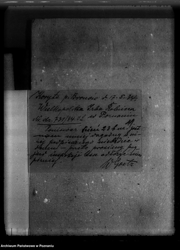 Obraz 15 z jednostki "/Majętność leśna Bugaj / powiat krotoszyński"