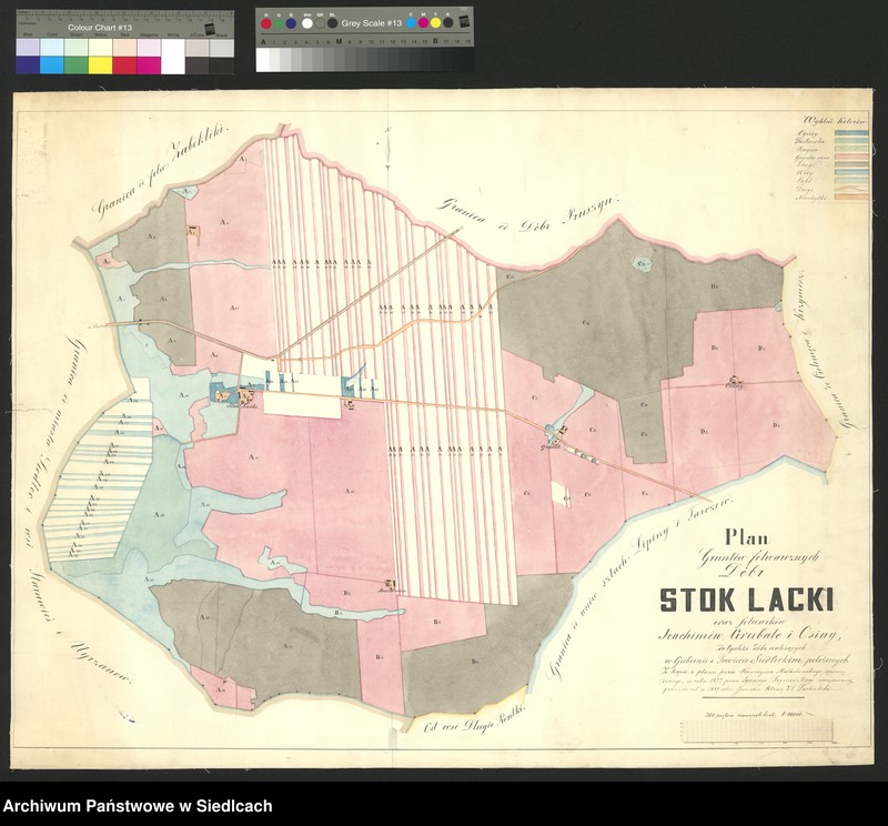 Obraz 15 z kolekcji "Plany folwarków guberni siedleckiej111"