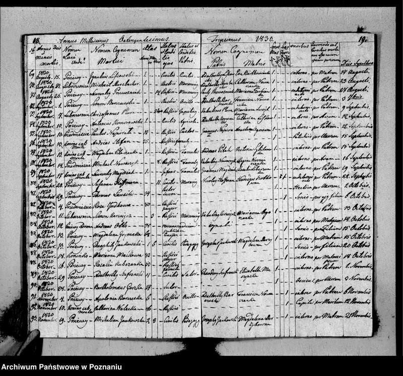 Obraz 12 z jednostki "Duplicat baptisatorum, copulatorum, mortuorum"