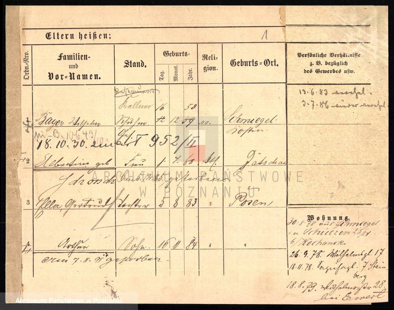 Obraz 3 z jednostki "Bajer (Bayer, Beyer)"