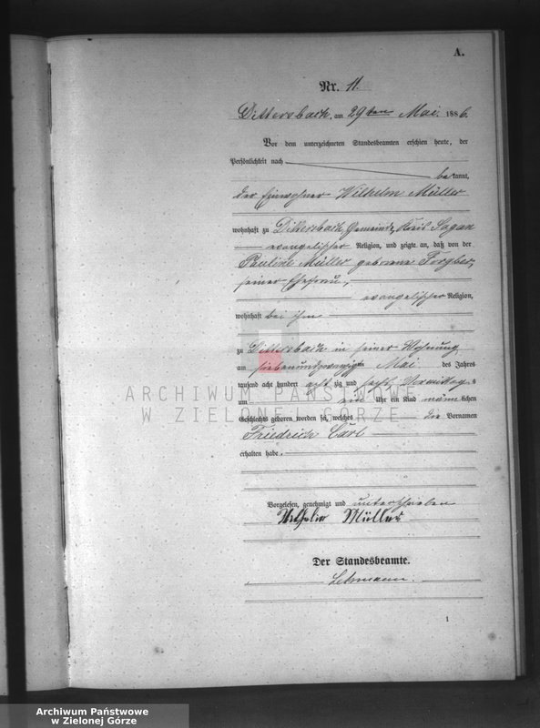 Obraz 14 z jednostki "[Księga aktów urodzeń]"