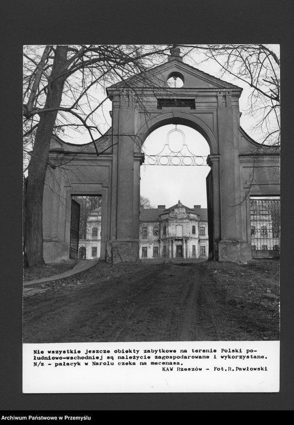 Obraz z jednostki "Pałacyk w Narolu; autor: R. Pawłowski"