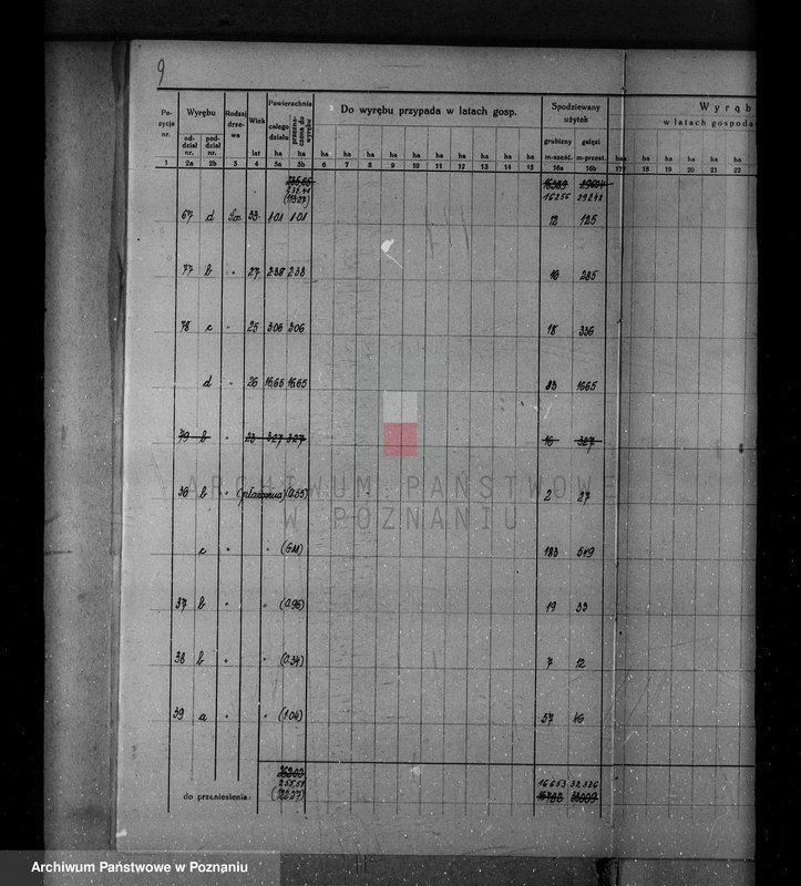Obraz 15 z jednostki "/Nadzór nad gospodarką leśną w majątku Krucz-Goraj w powiecie czarnkowskim Nadleśnictwo Goraj/"
