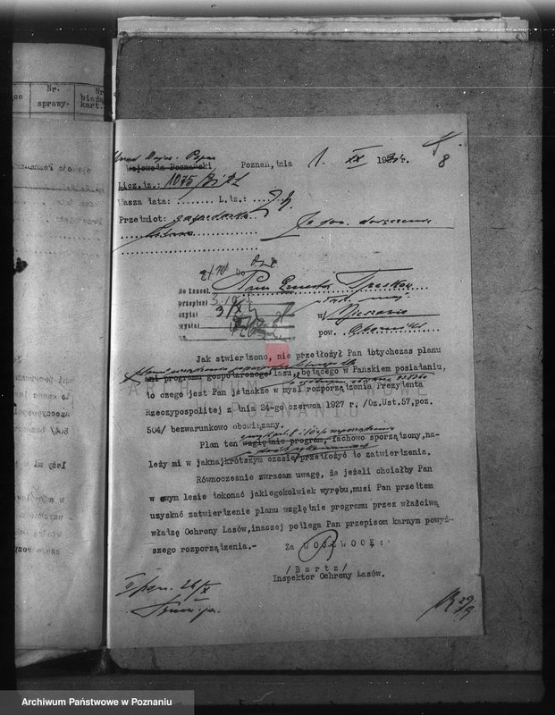 Obraz 12 z jednostki "Nadzór nad gospodarką w lasach majętności Nieszawa powiat obornicki"