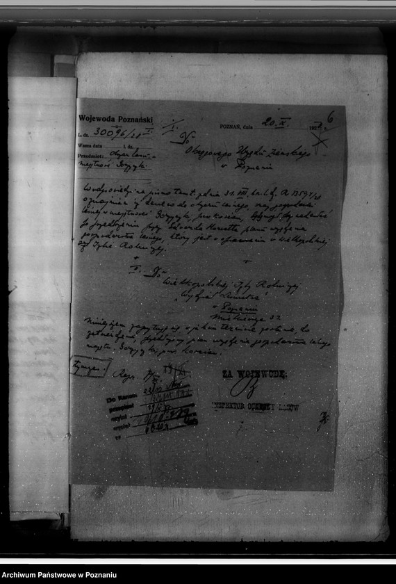 Obraz 10 z jednostki "Majętność /leśna/ Gorzycziki powiat kościański"