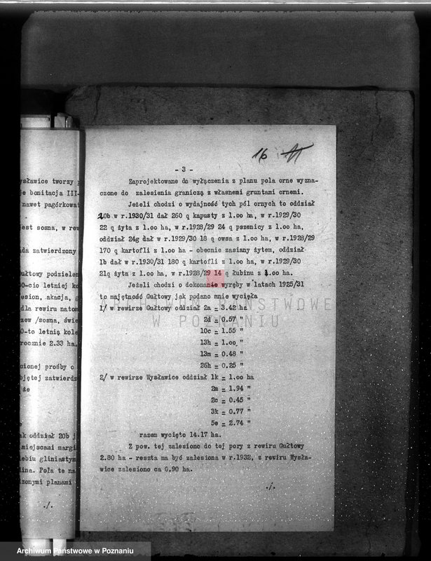 Obraz 20 z jednostki "Nadzór nad gospodarką w lasach majętności Gułtowy powiat średzki"