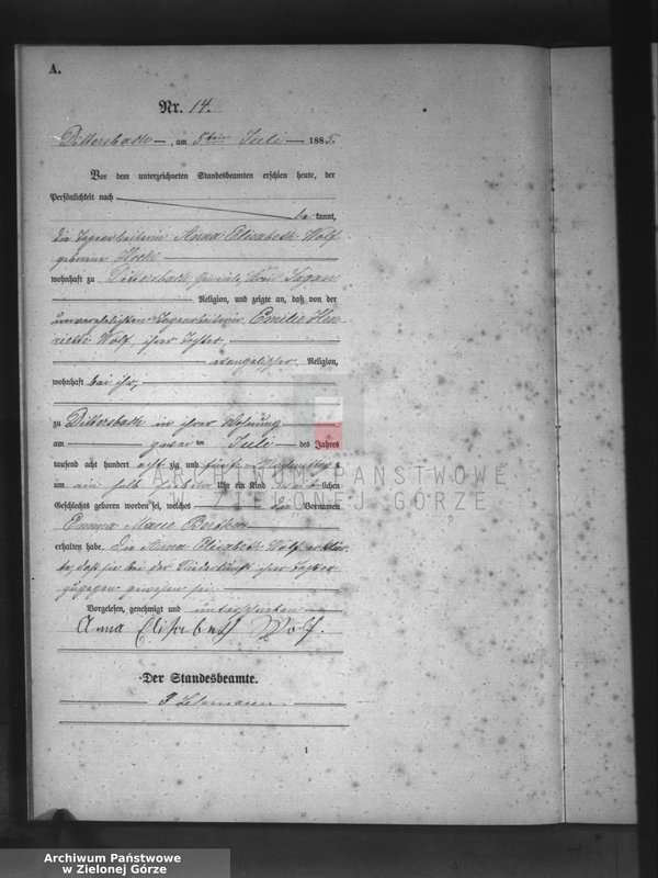 Obraz 17 z jednostki "[Księga aktów urodzeń]"