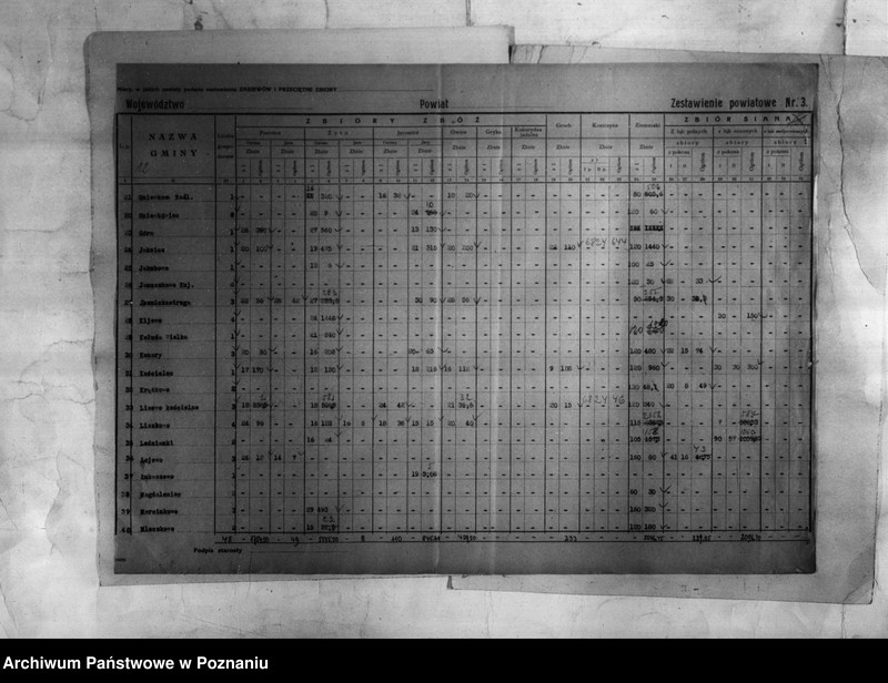 Obraz 13 z jednostki "/Statystyka produkcji rolnej - zestawienie powiatowe - Inowrocław/"