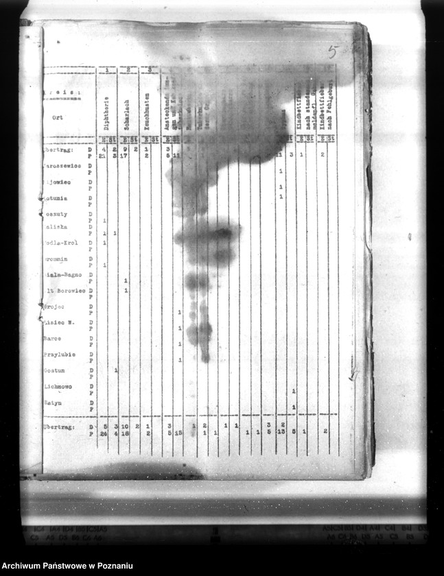Obraz 10 z jednostki "Statistik der Krankheiten im Wartheland"
