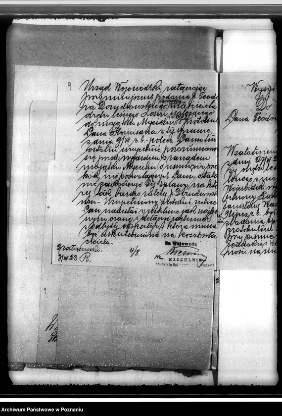 Obraz 13 z jednostki "Sprawa uzyskania zezwolenia na wyrąb jednorazowy 3 poręb w lesie majątku Mycielin powiat kaliski"