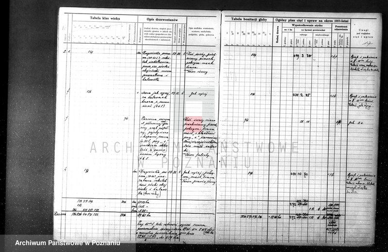 Obraz 17 z jednostki "majętności Sławno czarnkowskim"