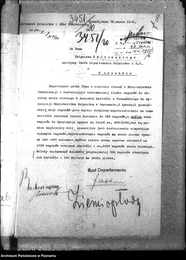 Obraz 12 z jednostki "Ziemiopłody"