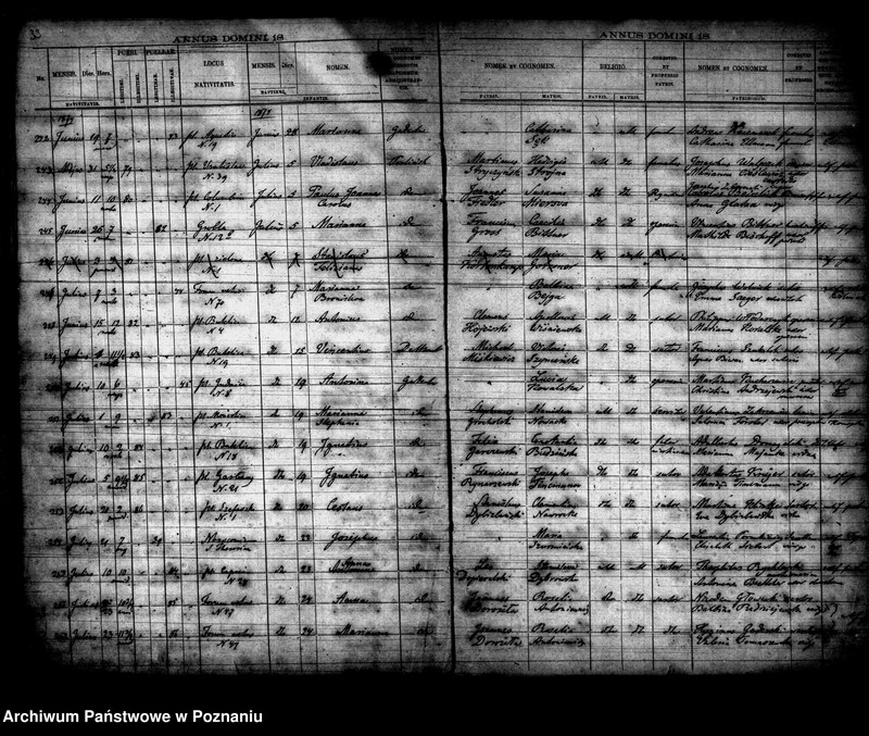 Obraz 18 z jednostki "Księga urodzin"