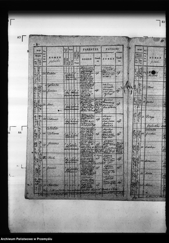 image.from.unit.number "[Kopie ksiąg metrykalnych parafii Radruż (dekanat Niemirów)]"