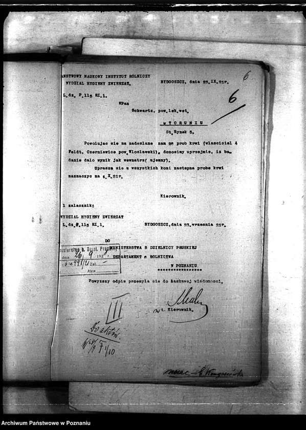 Obraz 10 z jednostki "Nosacizna - b. Kongresówka"