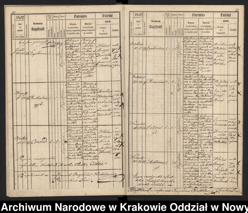 image.from.team "Akta stanu cywilnego Parafii Greckokatolickiej w Maciejowej"