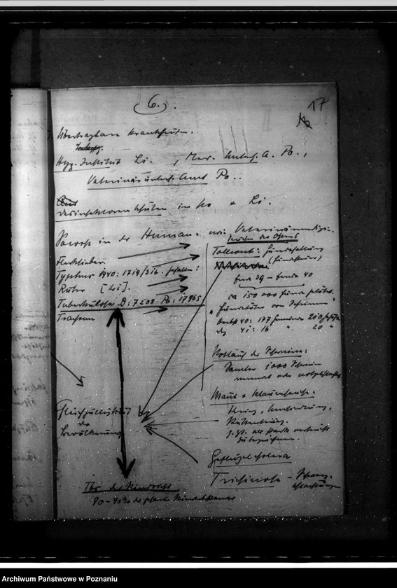 Obraz 20 z jednostki "Lageberichte"