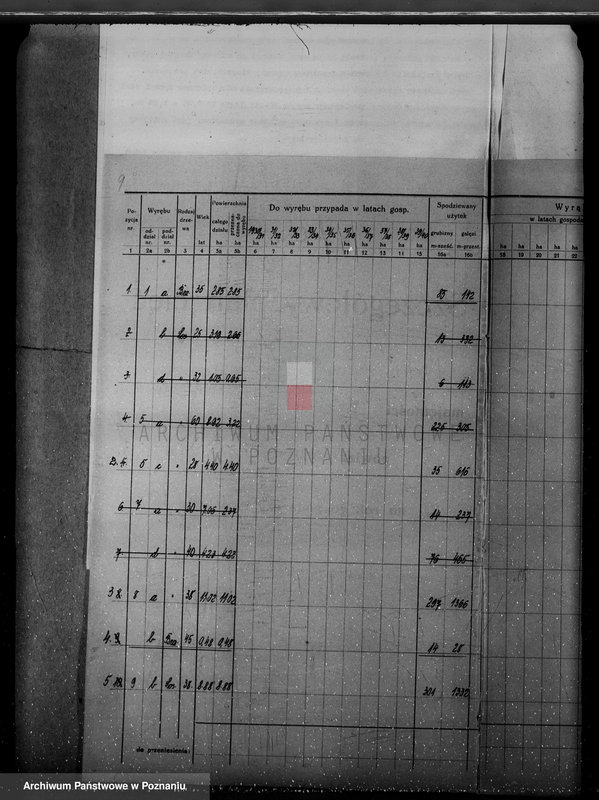 Obraz 13 z jednostki "/Nadzór nad lasami/ majątku Gębice powiatu czarnkowskiego"